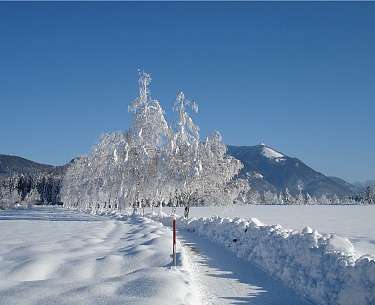 Passegiate invernali intorno a Salisburgo Passegiate invernali intorno a Salisburgo